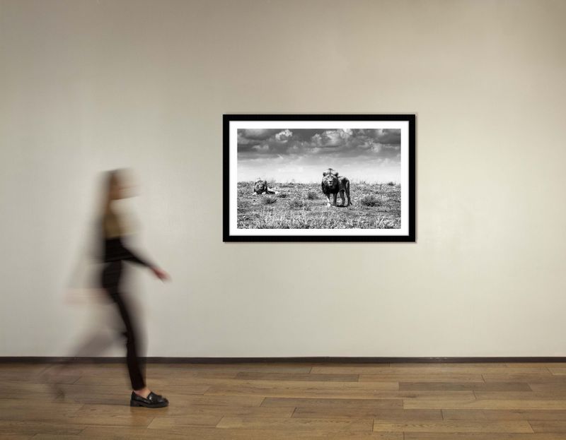 36 x 48 in., edition of 15